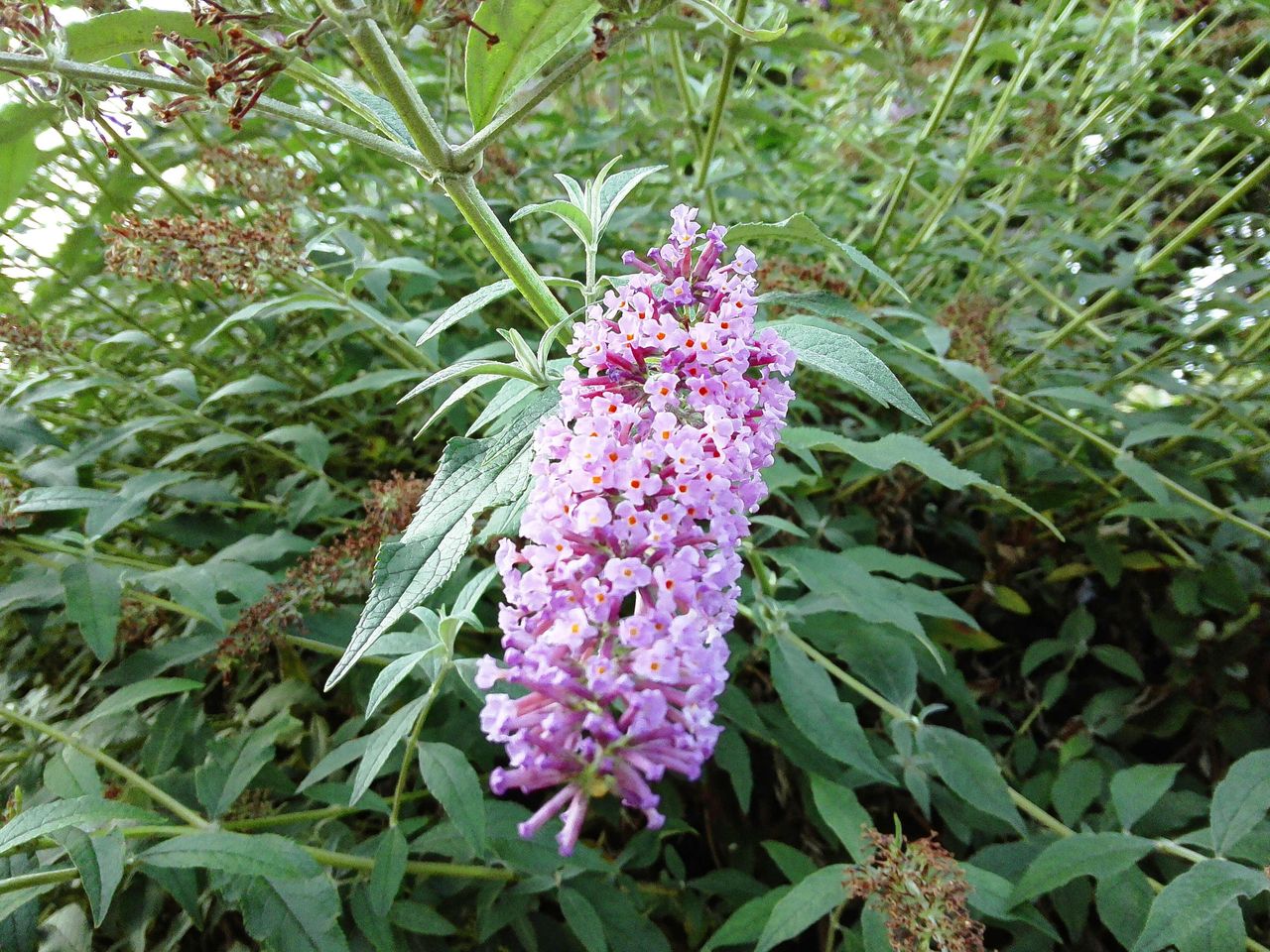 A photo taken on a Fujifilm Instax Pal 2 digital camera