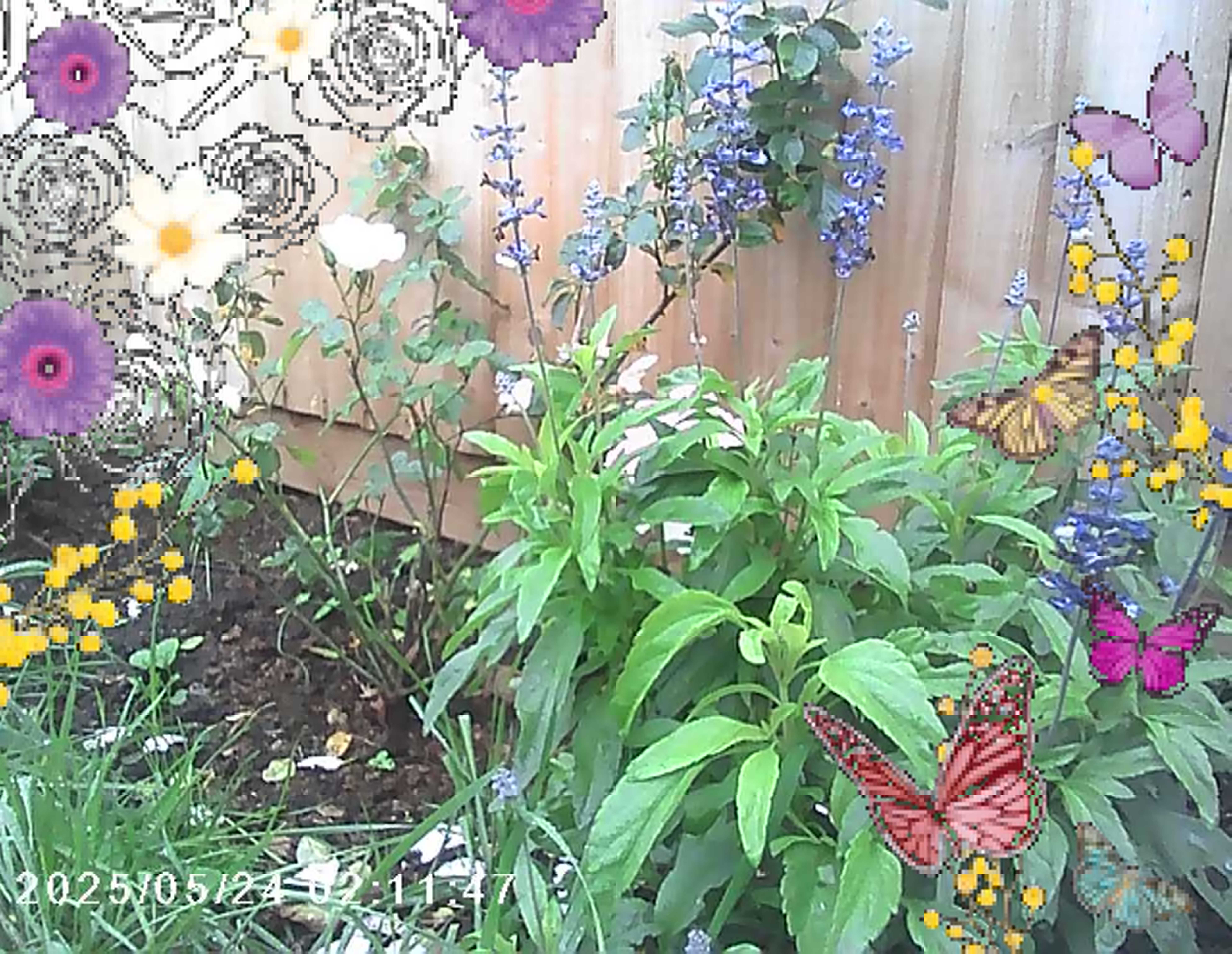 Sample images from the Photo Creator Projector Camera