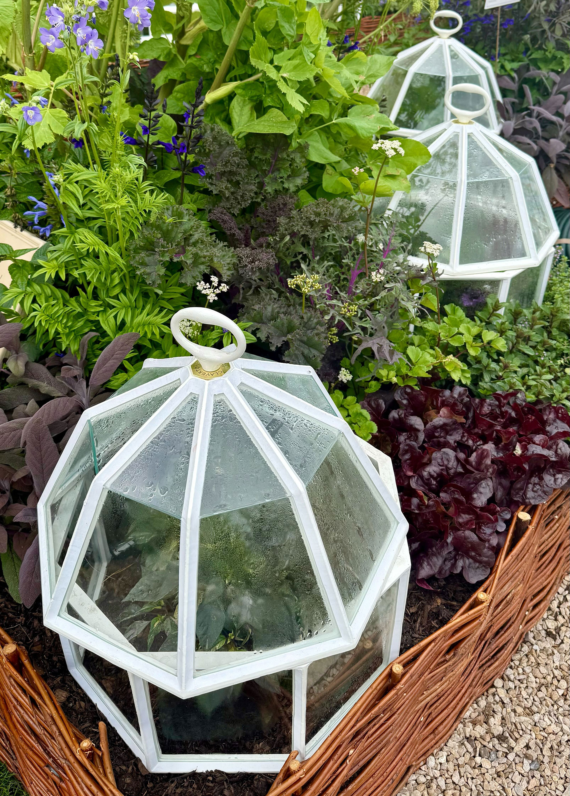 RHS Chelsea Flower Show 2025