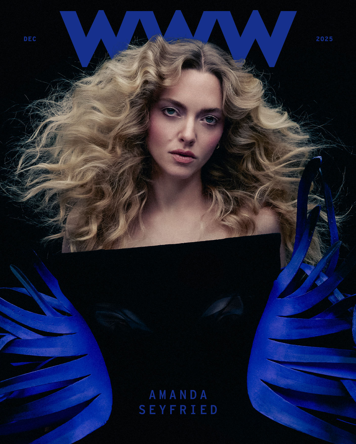 Cover image from Amanda Seyfried&#039;s Who What Wear December cover story. She is photographed wearing a strapless black dress with blue feather detailing on each side. Her hair is voluminous and curly.