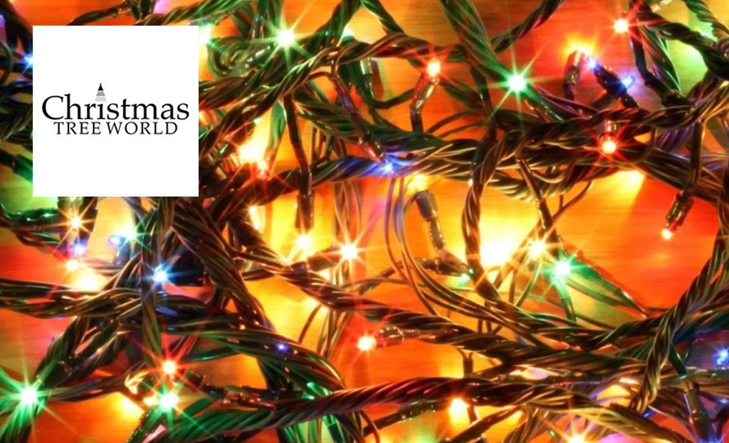 Christmas tree world logo top left with a close up shot of christmas lights