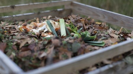 Vegetable waste and leaves sit atop a compost pile made from wooden pallets 