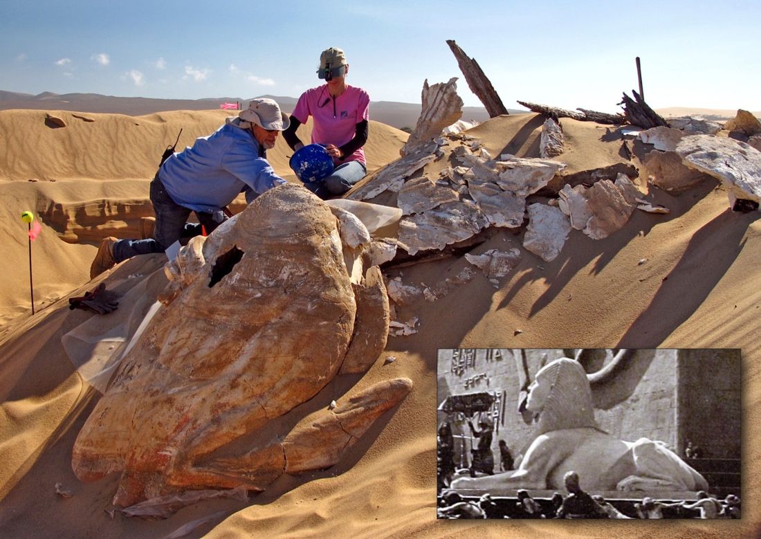 Archaeologists unearth one of the giant sphinxes from the film, &quot;The Ten Commandments.&quot;