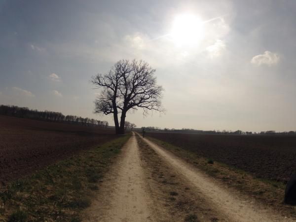 Spring has not sprung in northern Europe