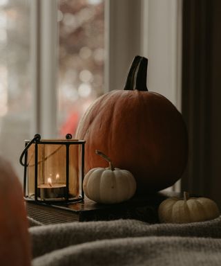 A small orange pumpkin on a widow ledge with a let tealight in a glass holder