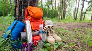 A backpackers gear sitting next to a tree