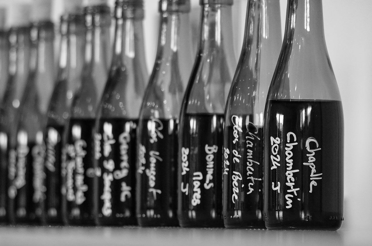 Gevrey-Chambertin 2024: The best of the year's 'crisp and fresh