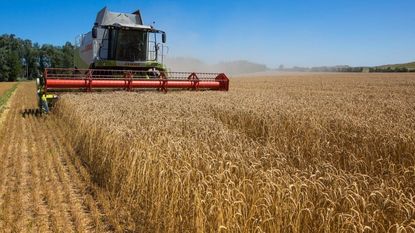 A harvester in his field in Ukraine.