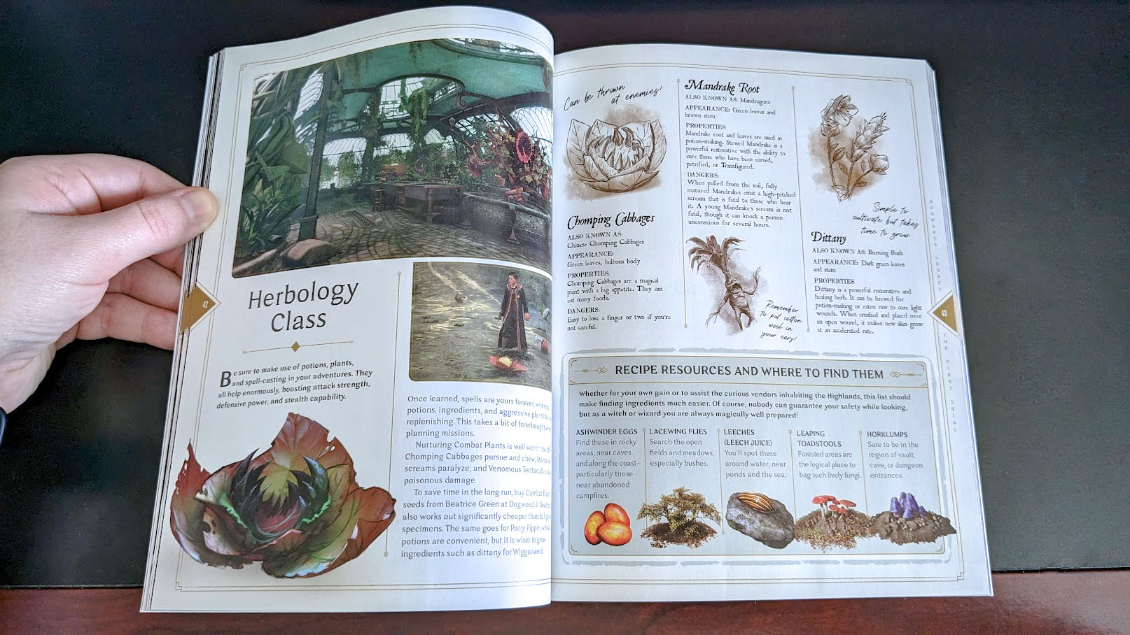 Hogwarts Legacy: The Official Game Guide — Herbology class pages.