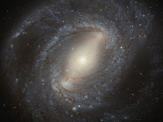 The barred spiral galaxy NGC 4394 sparkles in this stunning view from the Hubble Space Telescope released on May 2, 2016.