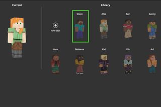 Minecraft PC skins library