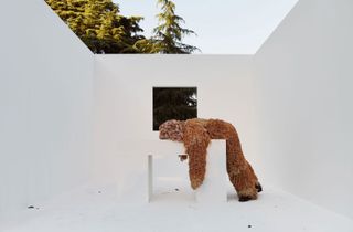 Brown fur suit draped over white room