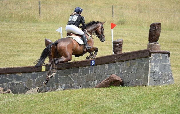 4. Nearly a year after Hannah Francis’ death, Berry Ponies are everywhere.