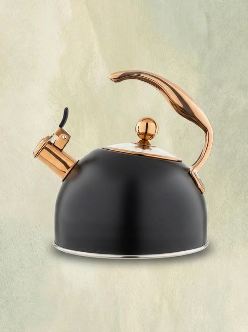 3-Ply Stainless Steel Tea Kettle