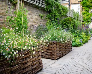Raised beds with willow surround planted with summer flowers in walled garden design by Butter Wakefield