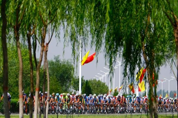 The peloton sweeps along in stage 11