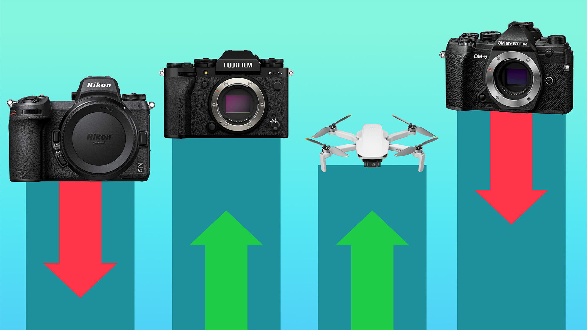 Nikon / Fujifilm / DJI / OM System cameras on a poll-like graph with red and green arrows 
