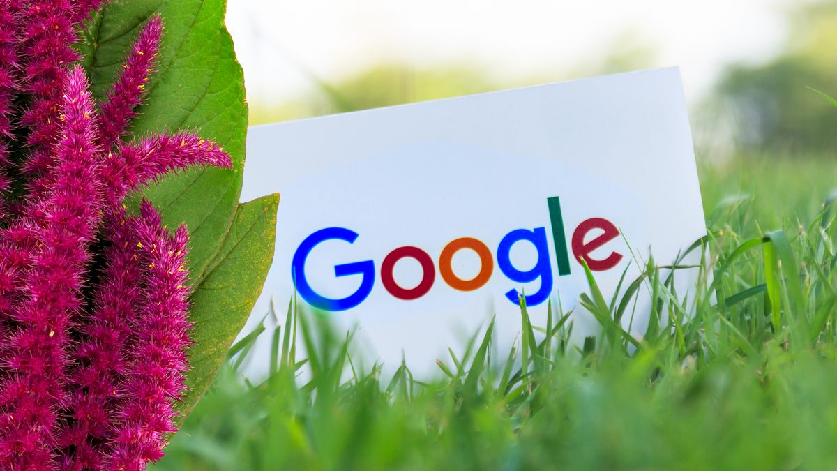 Google seems to be working on a new operating system called 'Pigweed'