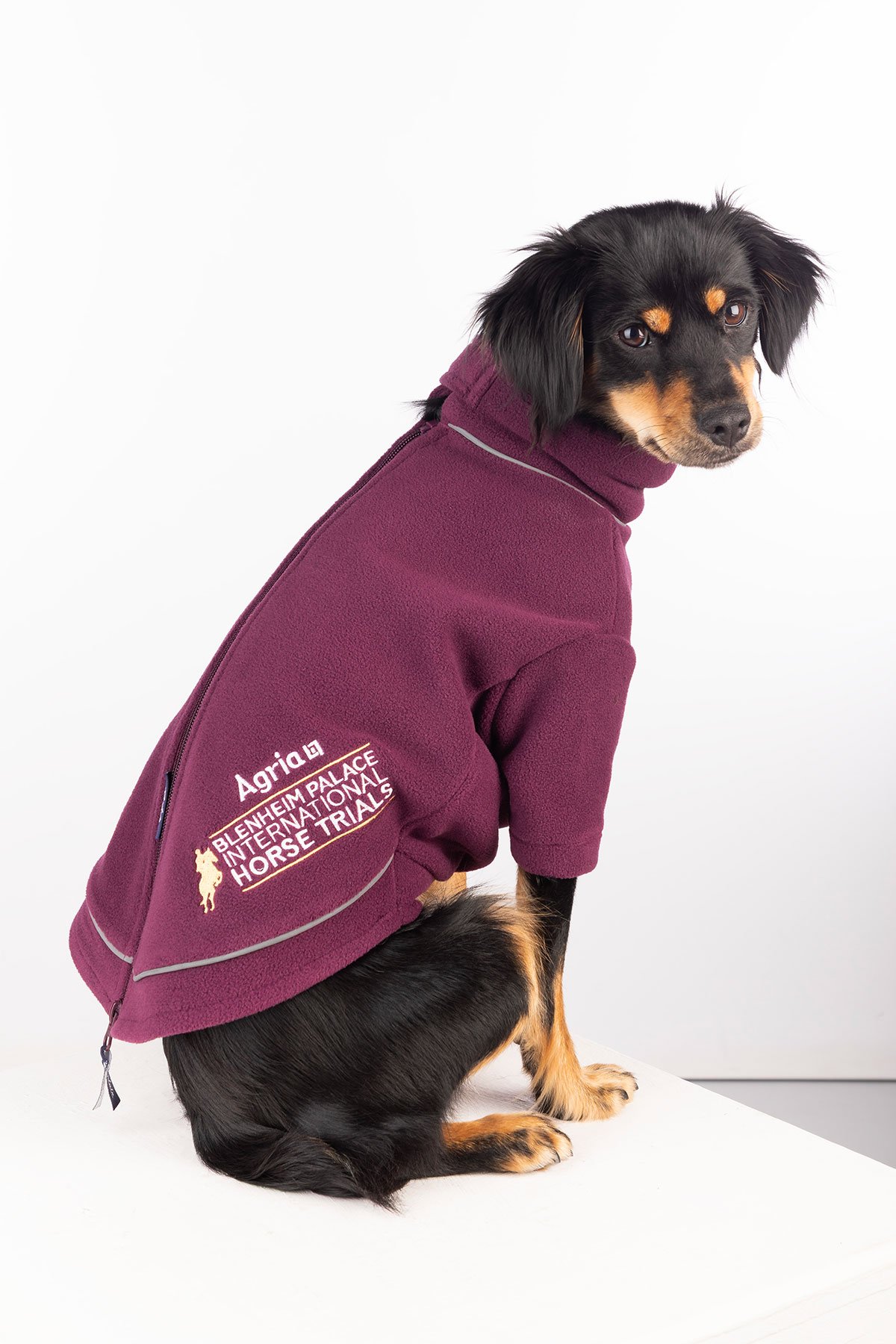 Fleece Dog Jumper - Official Blenheim Edition