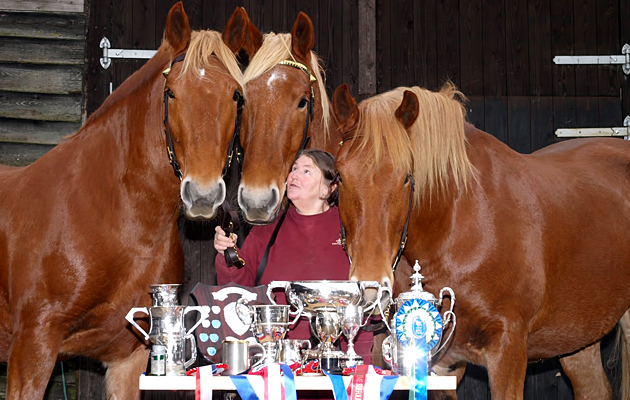 Whitton Teazel, Whitton Hector and Whitton Violet
