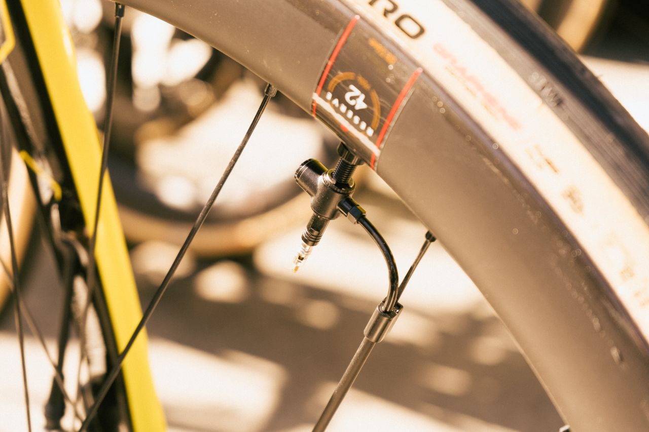 Women's flanders gallery