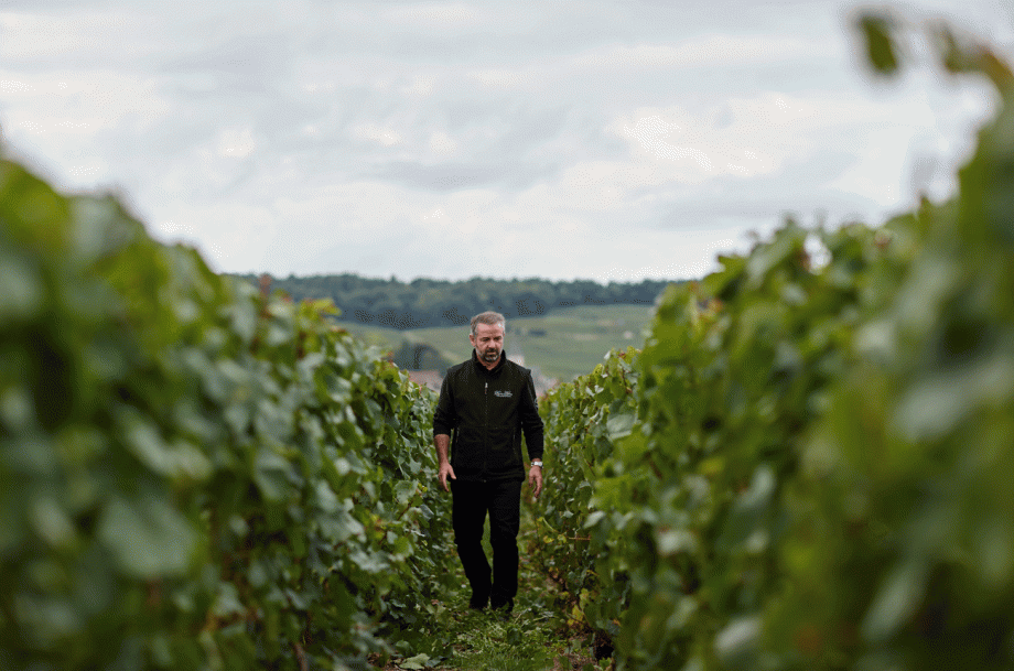 Rodolphe P&eacute;ters in the Chetillons vineyard