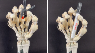 Revolutionary Innovation Enables Homemade Creation of Robot Hands in One Simple Print - Bringing 3D Bioprinting Closer to Home