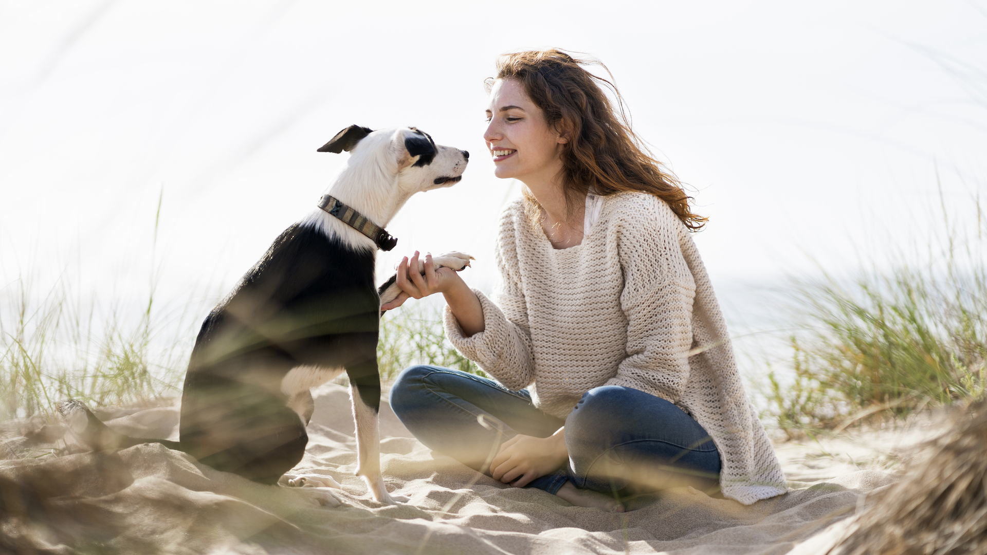 Owner and dog on the beach