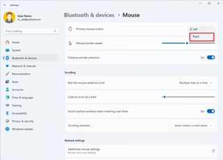 Windows 11 mouse left-handed