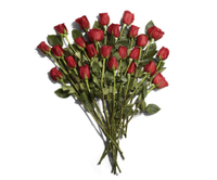 24 stem roses: was $29 now $19 @ Amazon