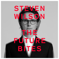Steven Wilson: The Future Bites