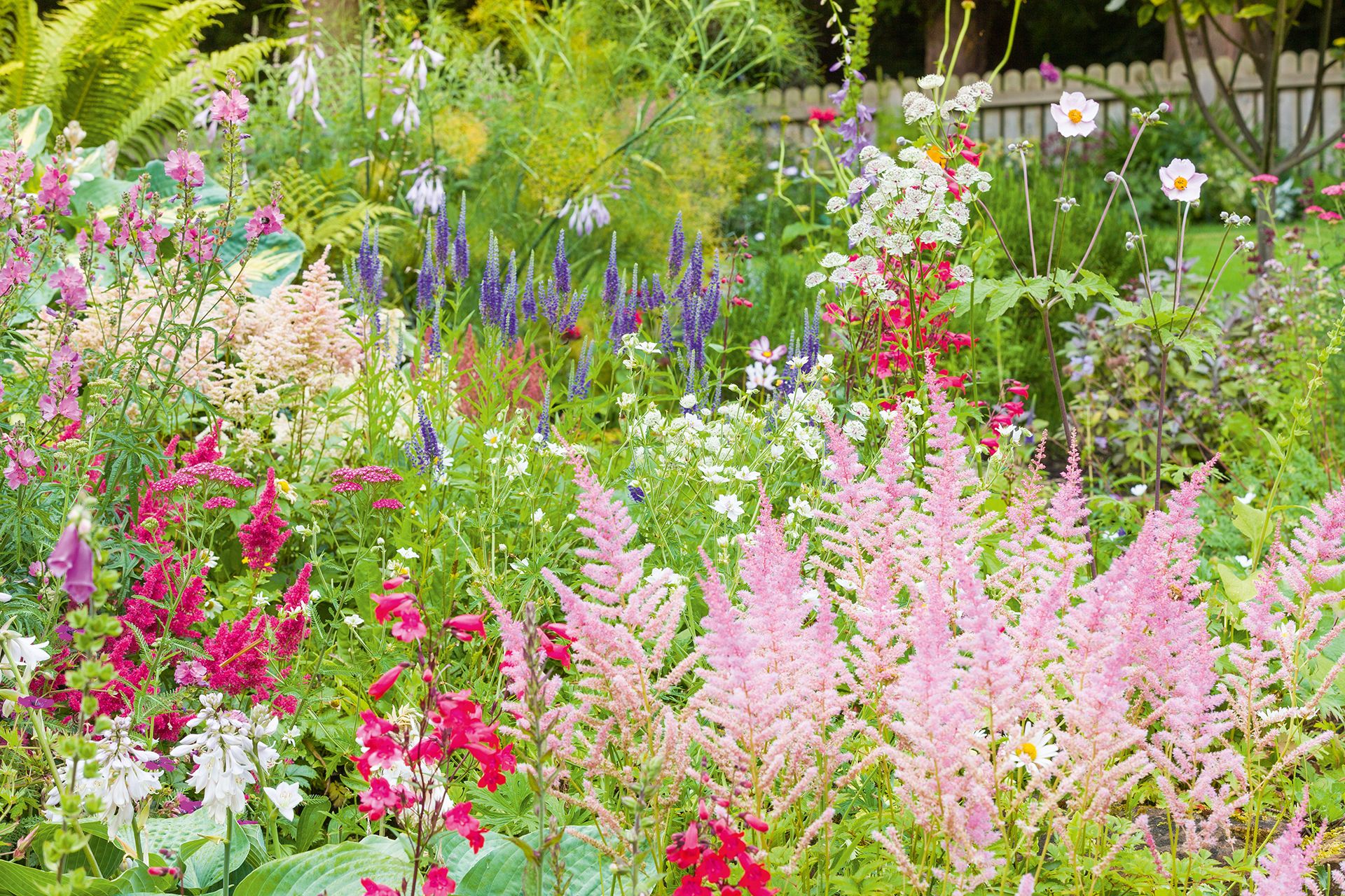 Cottage garden border