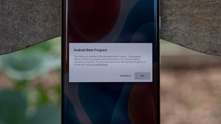 Google Pixel 6 Pro with red white and blue wallpaper and Android Beta warning message