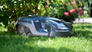 A robot lawn mower cutting the grass in the sunlight