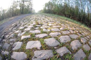 The cobblestones of the Arenberg Forest await the peloton.