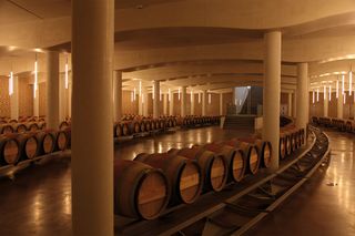 A vaulted, concrete wine cellar filled with barrels and lit by tube lights hanging down from the ceiling