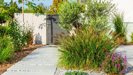 simple garden design with ornamental grasses, gravel and pavers