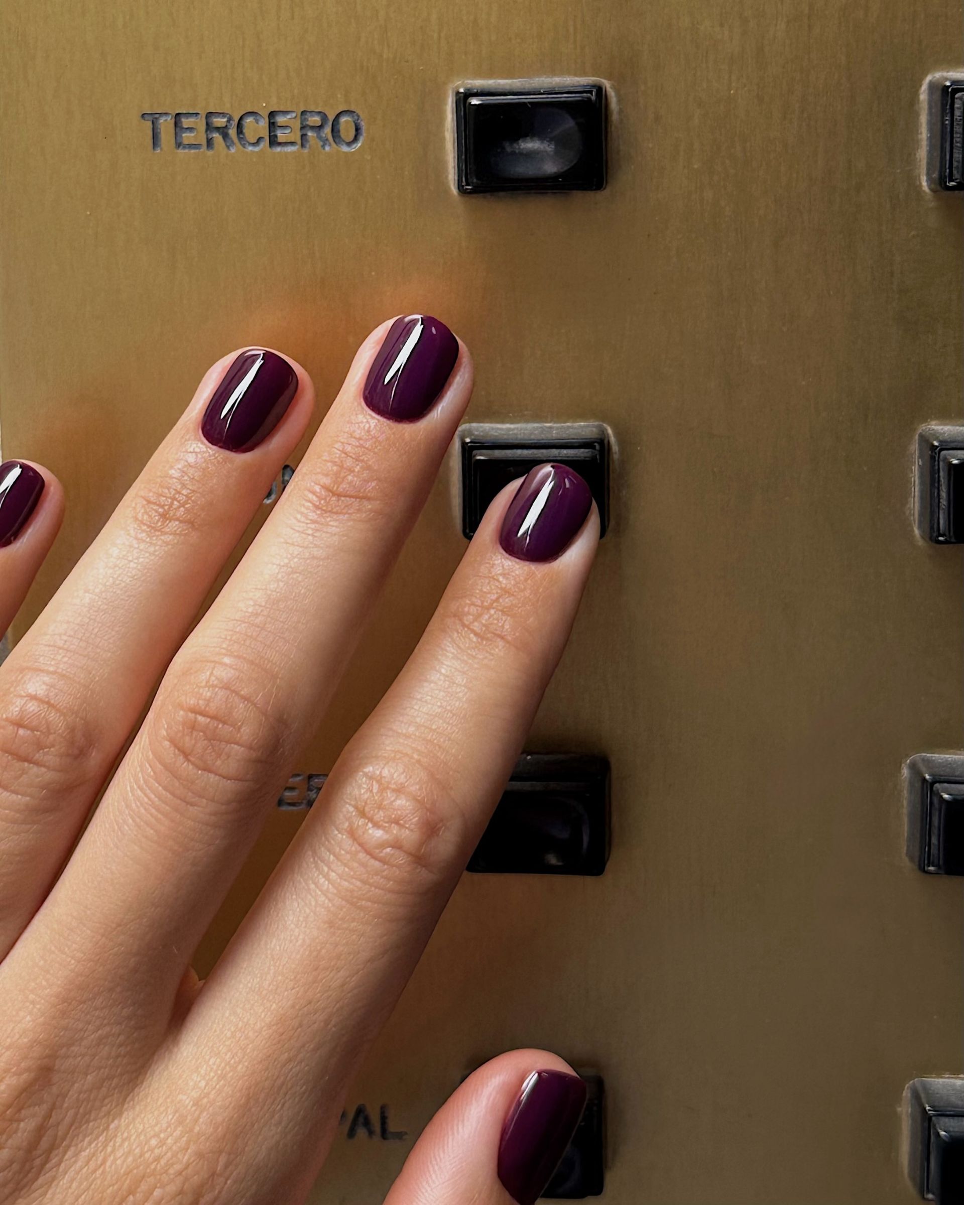 Glossy short deep eggplant nails against a brass-colored elevator panel