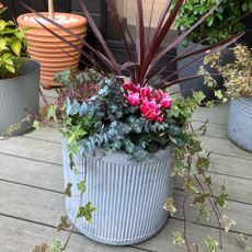 winter planters on garden decking