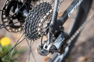 Quick-Step Alpha Vinyl's S-Works Roubaix