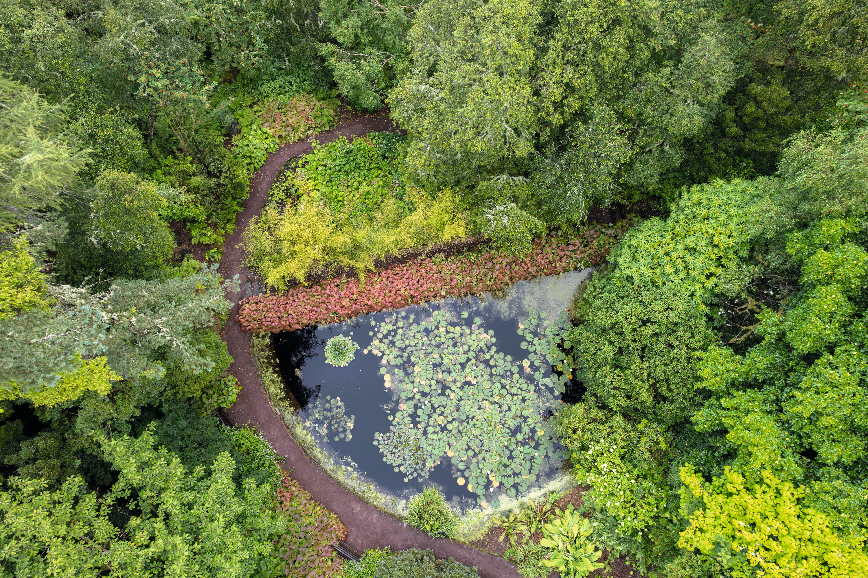 The garden at Inverewe in Wester Ross as photographed by Andrea Jones