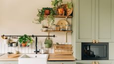 Sage green kitchen with potted plants
