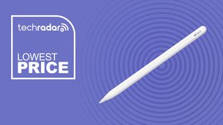 Apple Pencil (USB-C)