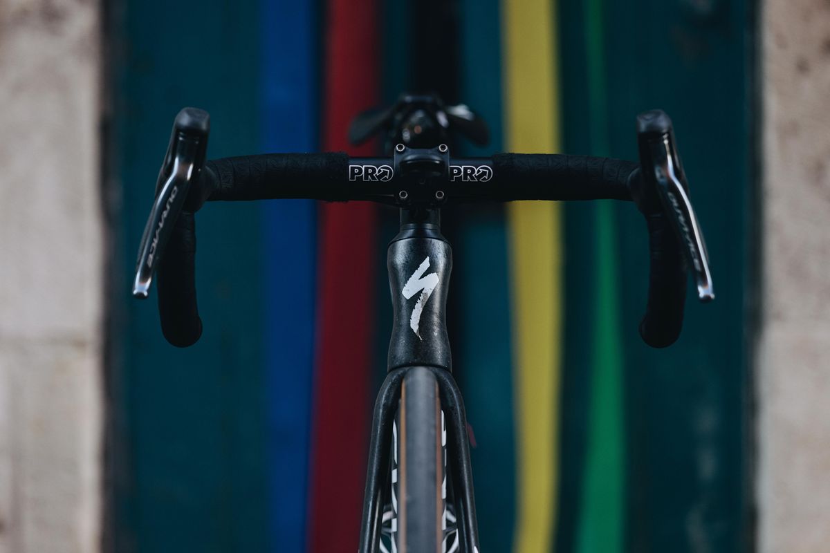 Julian Alaphilippe's Specialized Tarmac SL7