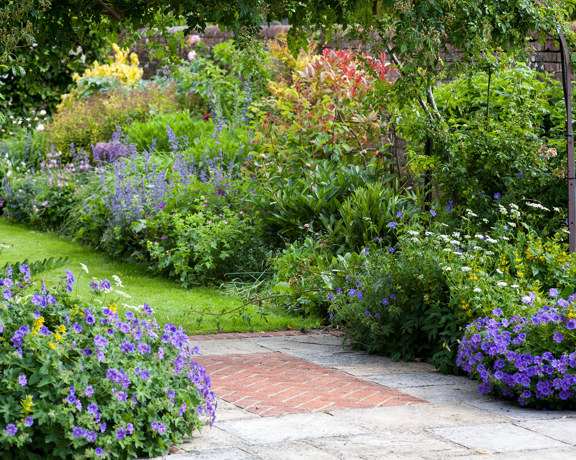 Beds of perennials either side of a stone and brick patio leading onto a lawn.