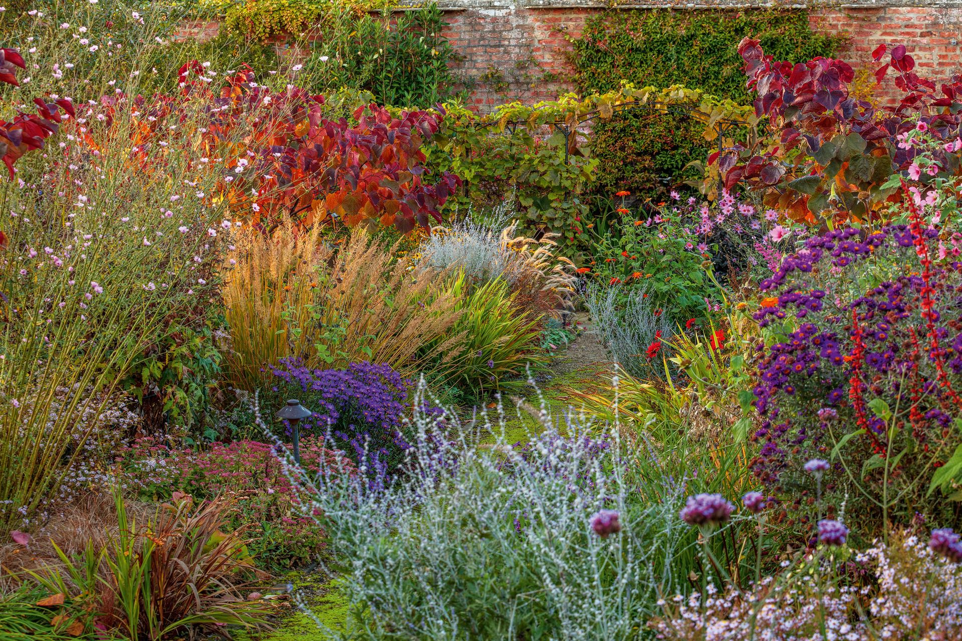 Garden at Littlethorpe Manor