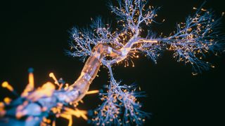 Abstract image showing a neuron up-close against a black background. The neuron looks like a tree with branches. The &quot;trunk&quot; of the neuron is a light blue color, while the tips are yellow. Yellow lines also run through the trunk in places. 