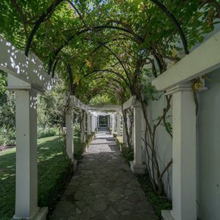 vine draped colonnade leads from the parking area