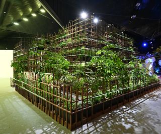 A grid formation garden design with vertical planting running through it