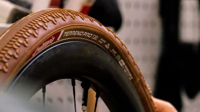 A brown Vittoria Terreno Pro tyre 